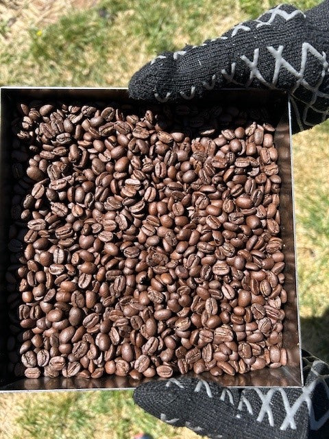 Matt & Eleni's breakfast roast (1 pound bag)
