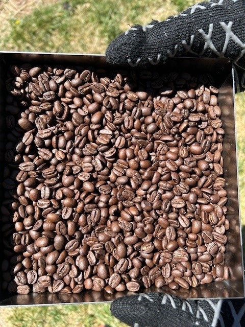 Matt & Eleni's breakfast roast (1 pound bag)