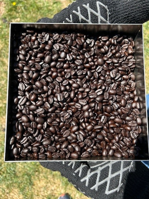 Matt and Eleni's Xtra Dark Roast (1 pound bag)