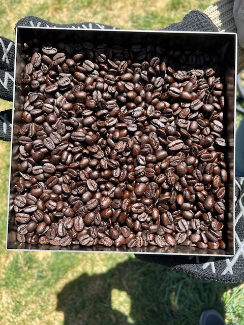Matt and Eleni's Medium Dark- Regular Roast (1 pound bag)