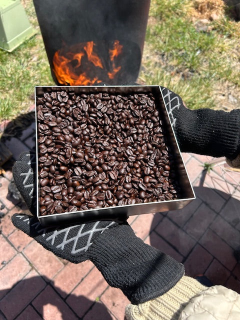 Matt and Eleni's Medium Dark- Regular Roast (1 pound bag)