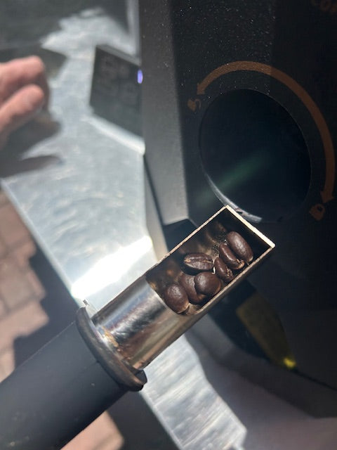 Matt and Eleni's Medium Dark- Regular Roast (1 pound bag)