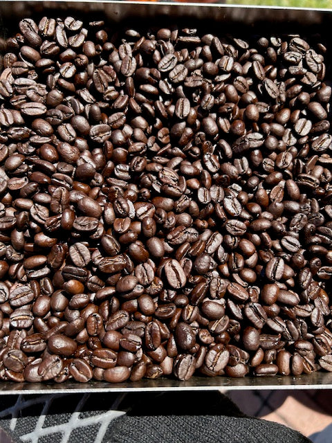 Matt and Eleni's Medium Dark- Regular Roast (1 pound bag)